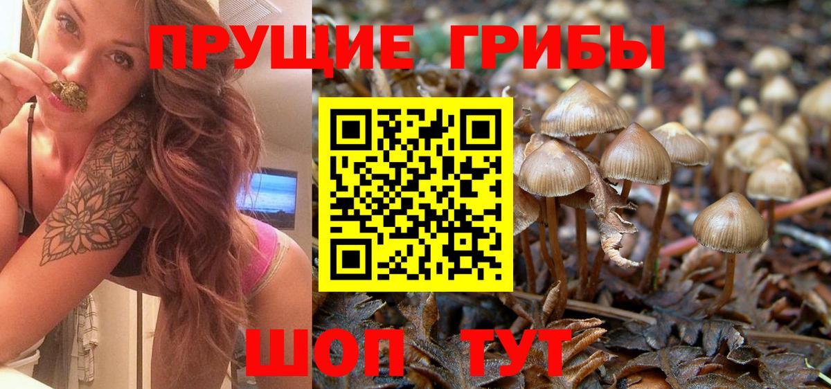Ефремов  Галлюциногенные грибы GOLDEN TEACHER  Галлюциногенные грибы мицелий  где купить   Вход с VPN 
