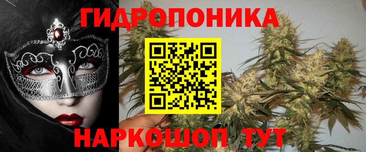 Конопля Bruce Banner  Вход с VPN  Марихуана сатива  Ефремов  Каннабис OG Kush 